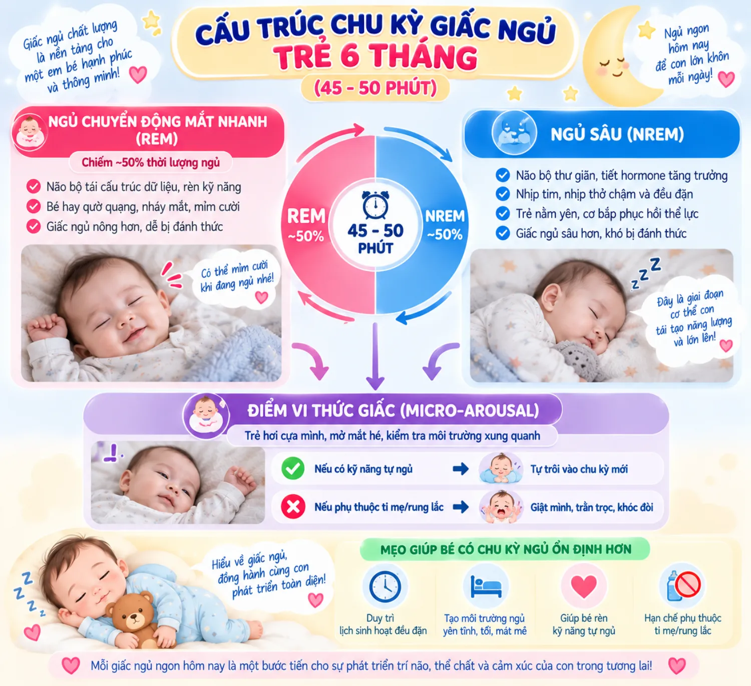 Cấu trúc chu kỳ giấc ngủ trẻ 6 tháng