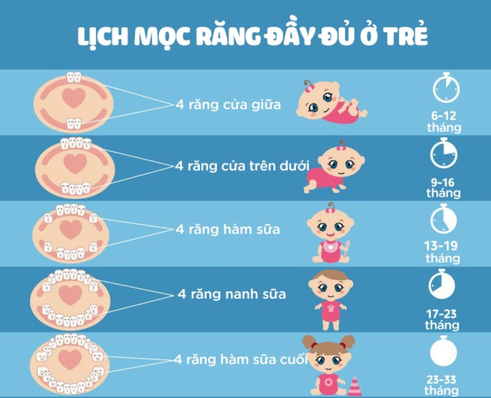 Lịch mọc răng sữa chi tiết giúp mẹ dễ dàng theo dõi hành trình khôn lớn của bé
