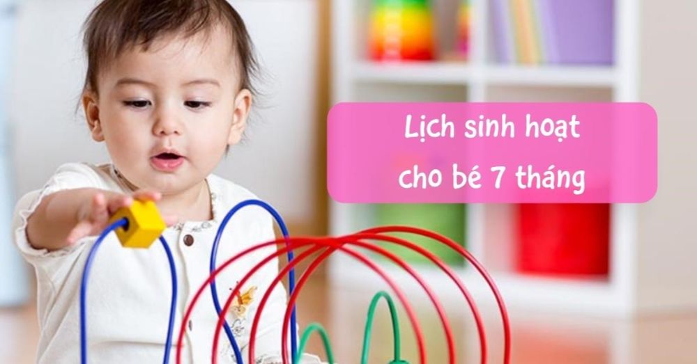 Lịch sinh hoạt bé 7 tháng khoa học giúp con ngủ ngon và phát triển trí não toàn diện