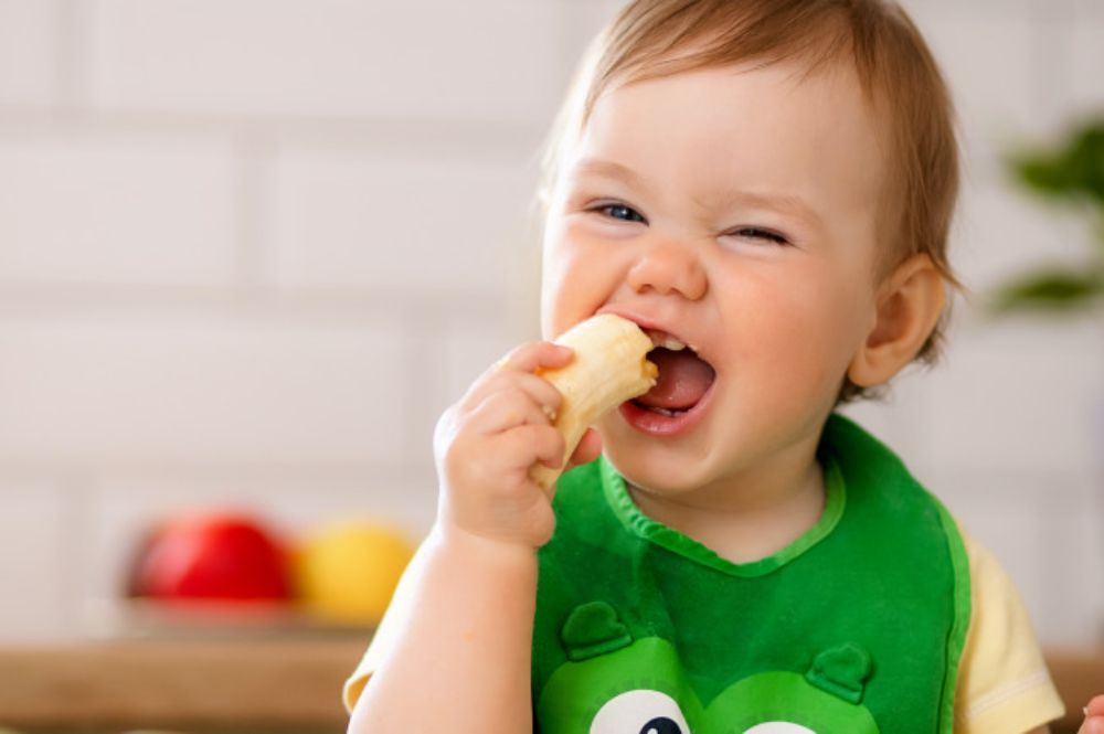 7 tháng tuổi là thời điểm vàng để giới thiệu đạm động vật cho bé (Ảnh: sưu tầm internet).