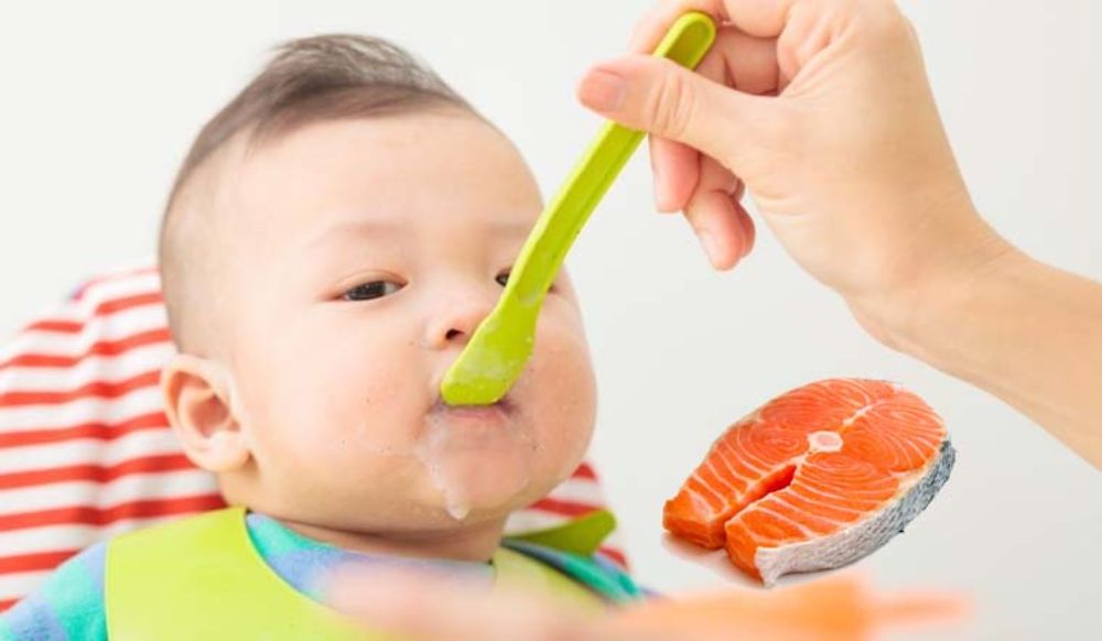Trẻ 7 tháng ăn được cá hồi giúp bổ sung DHA (Ảnh: sưu tầm internet).