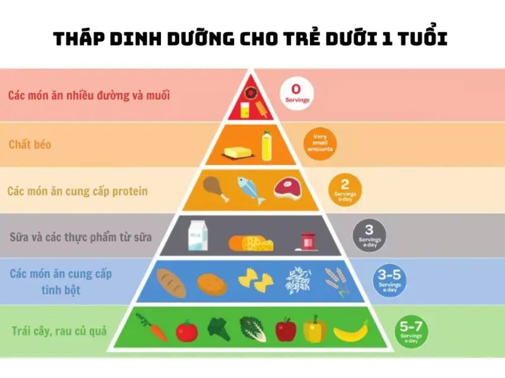 Tháp dinh dưỡng chuẩn y khoa giúp mẹ dễ dàng lên thực đơn cho bé 9 tháng ăn dặm