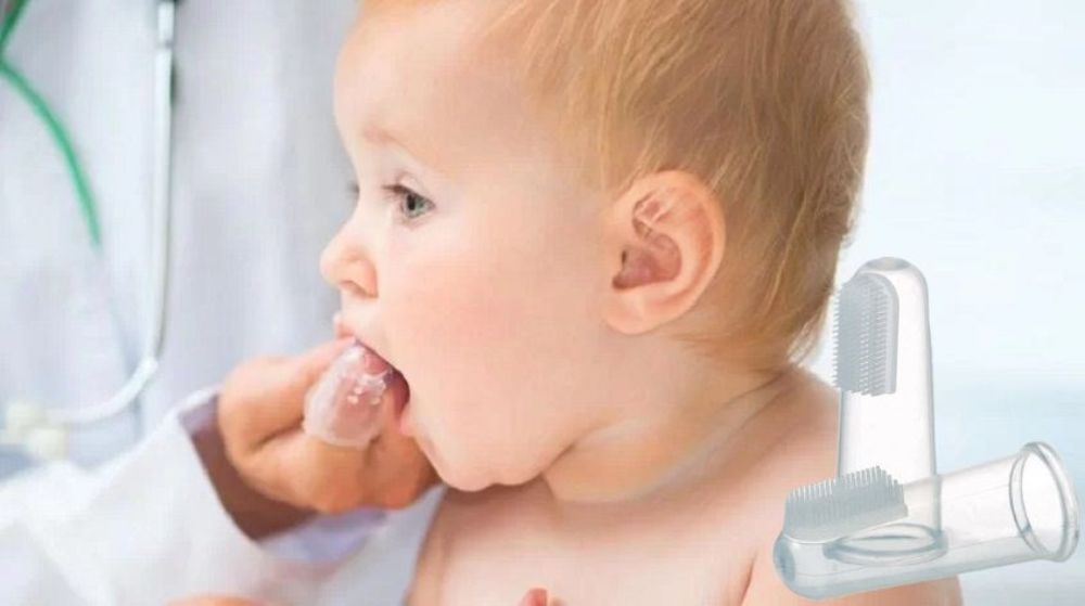 Vệ sinh và massage nướu đúng cách 2 lần mỗi ngày giúp kích thích mầm răng sữa mau nhú.