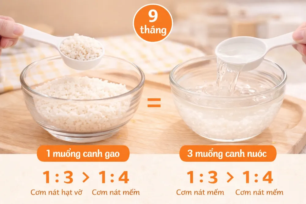 Tỷ lệ gạo và nước thay đổi linh hoạt theo khả năng ăn thô của bé.