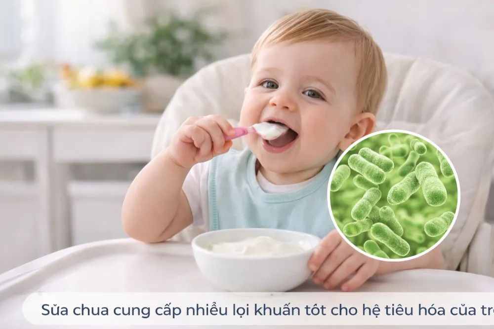Sữa chua cung cấp nhiều lợi khuẩn tốt cho hệ tiêu hóa của trẻ, nhưng chỉ nên ăn lượng vừa đủ.