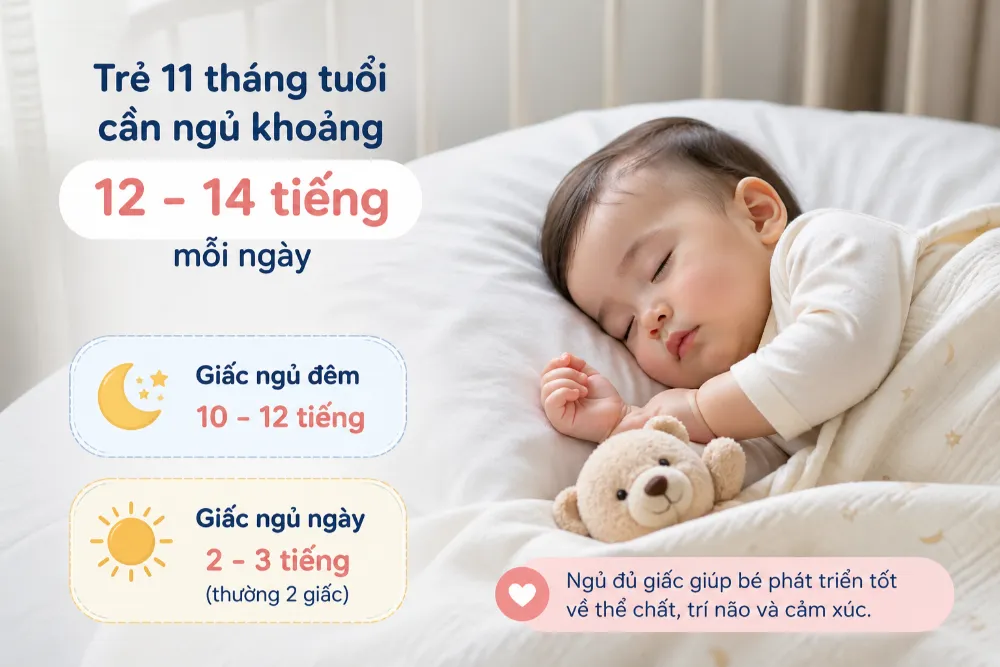 Đa số trẻ 11 tháng tuổi cần ngủ khoảng 12 - 14 tiếng mỗi ngày để phát triển toàn diện.