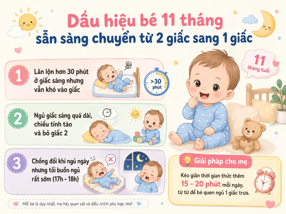 Khi bé chống đối giấc ngủ ngày nhưng lại buồn ngủ sớm vào buổi tối, đó là lúc mẹ nên cân nhắc chuyển sang lịch 1 giấc.