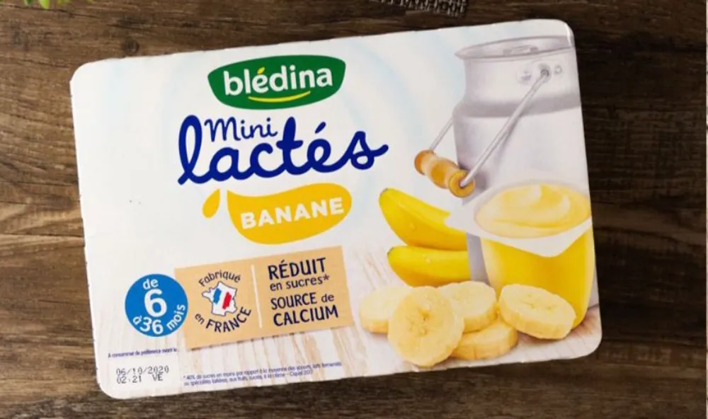 Sữa chua Bledina (Pháp)