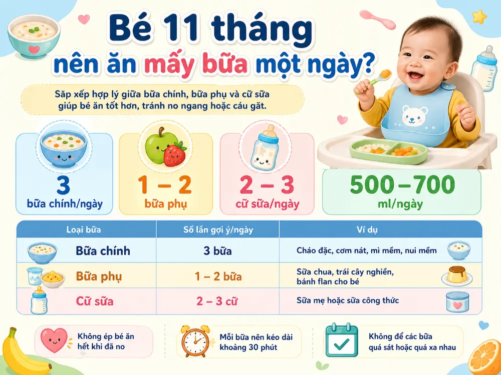 bé 11 tháng thường sẽ ăn 3 bữa chính/ngày