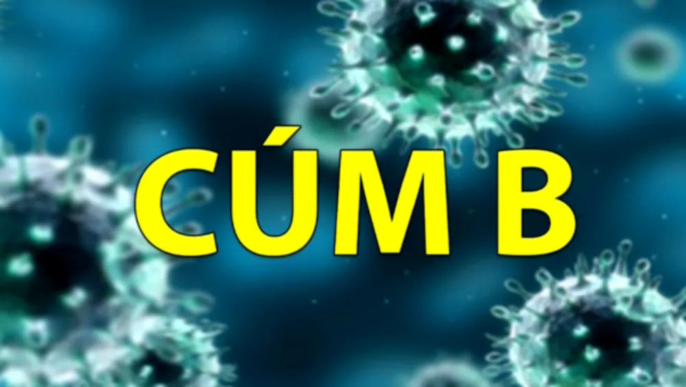 Cúm B lây lan chủ yếu từ người sang người thông qua các giọt bắn đường hô hấp.