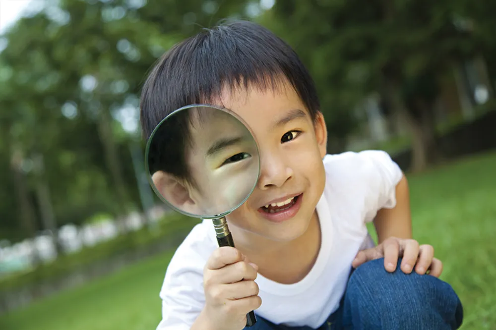 Lĩnh vực tiếp cận với việc học
