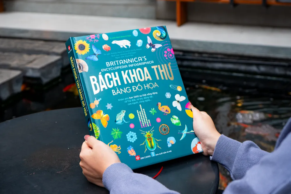 Bách khoa thư bằng hình (Đinh Tị)