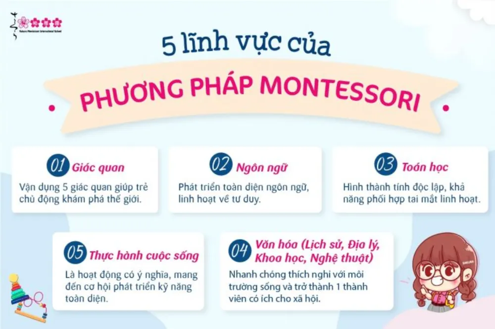 Montessori cho trẻ 3 6 tuổi phát triển 5 lĩnh vực