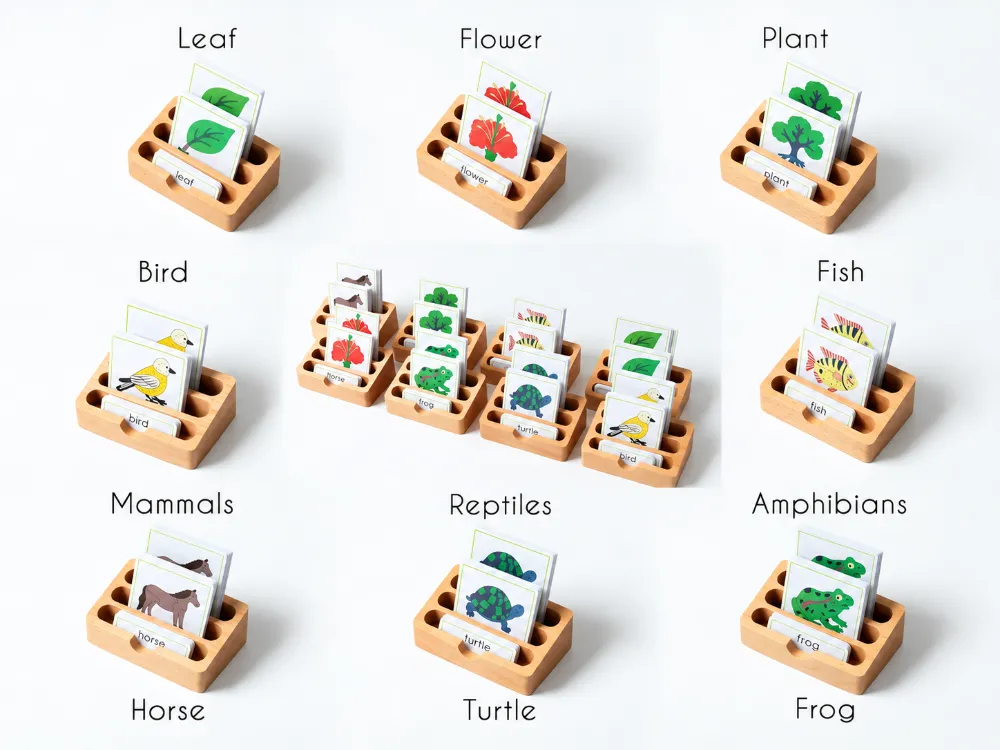 Thẻ động vật, thực vật